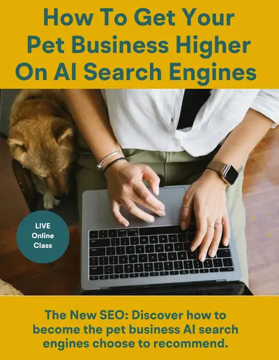 How to Increase Your Website Search Engine Optimization